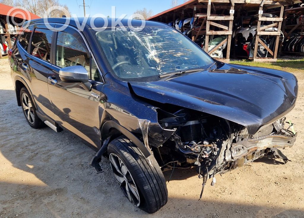 Forester SK Forester  FB20