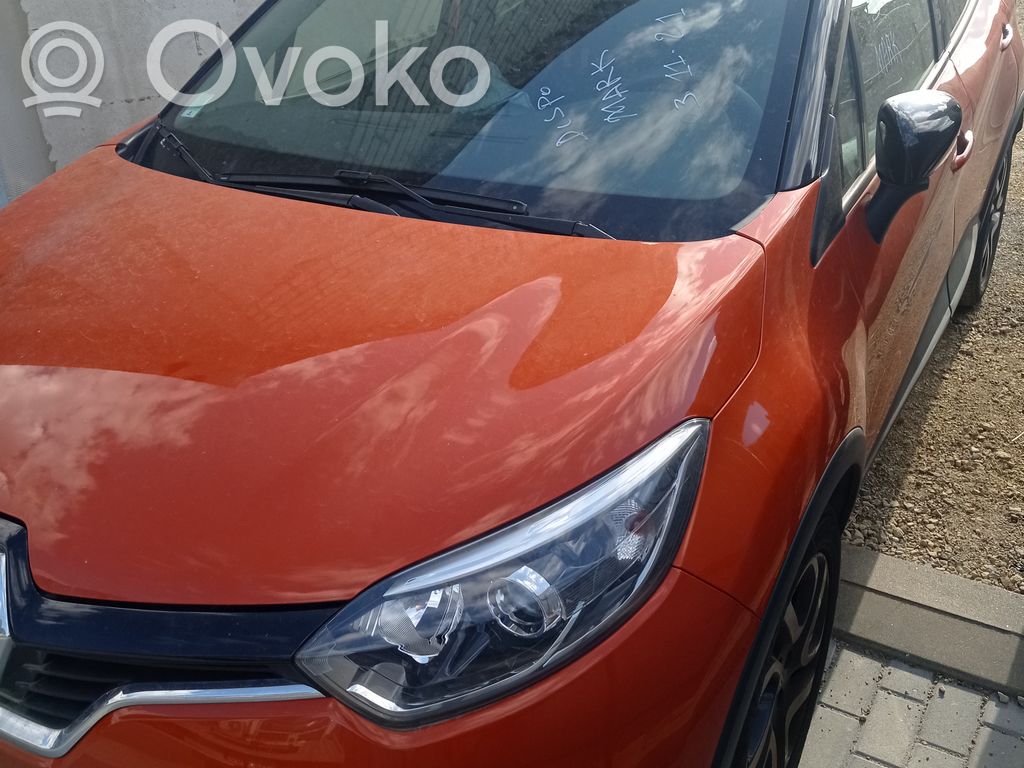 Captur Captur  B309