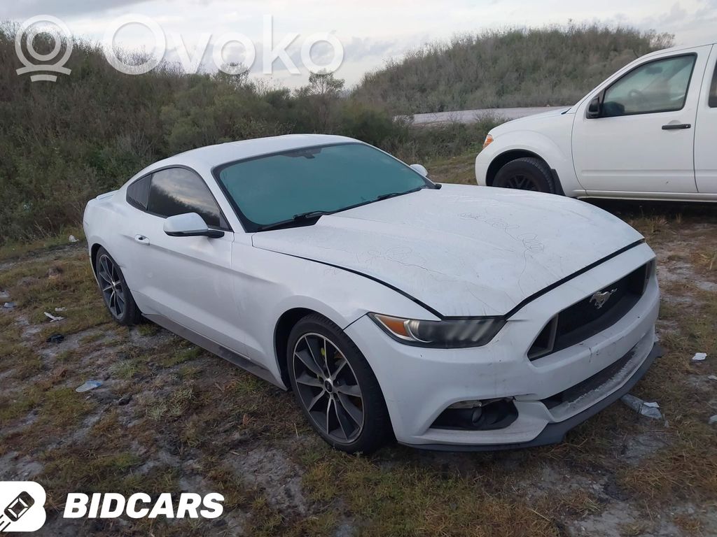 Mustang VI Mustang  FR3C6038AE