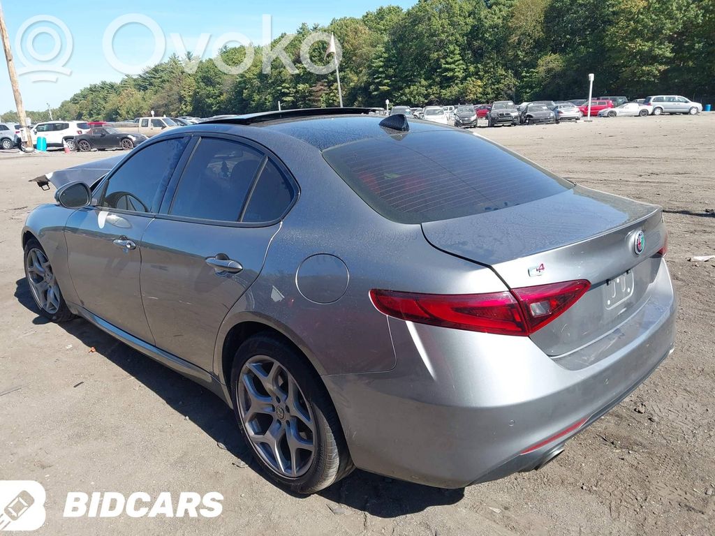 Giulia Giulia  50537696