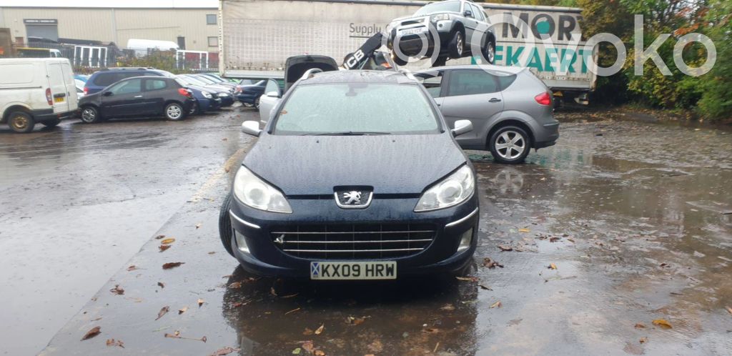 Peugeot 407