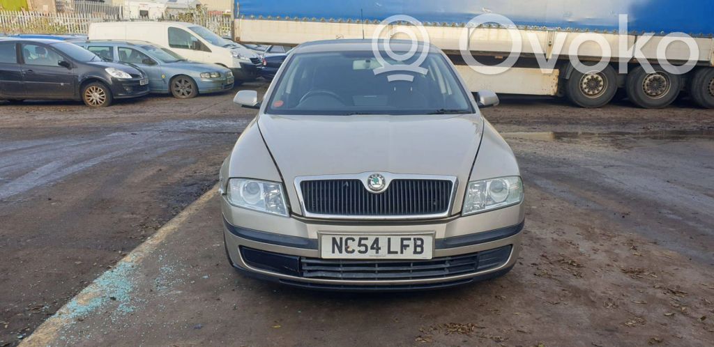 Skoda Octavia Mk2 (1Z)