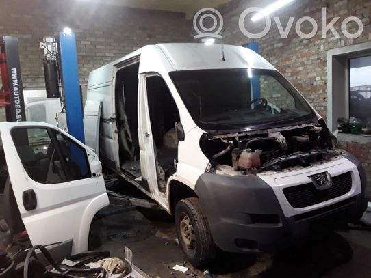 Boxer Boxer  FL615002