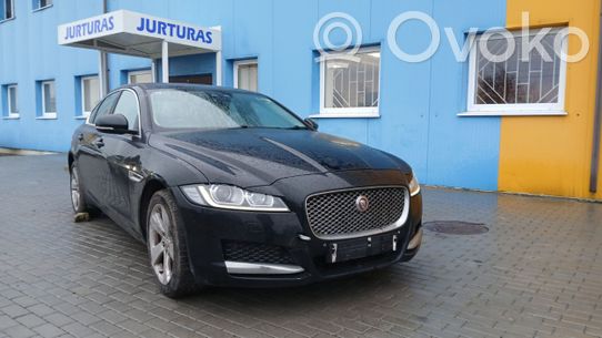 XF X260 XF