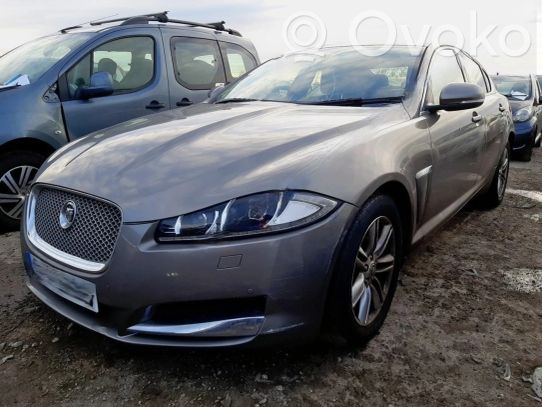 XF X250 XF  CX2313W029DF