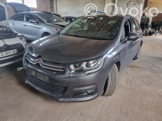 C4 II C4 Picasso, Grand Picasso, Aircross, Cactus  113149F