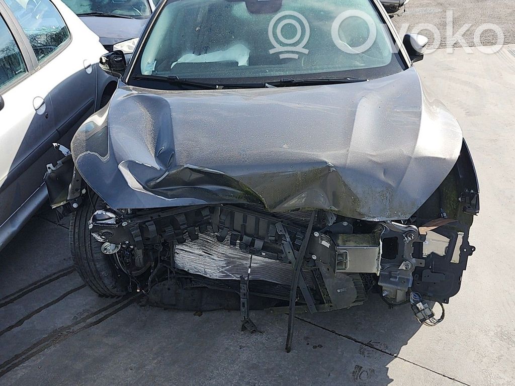 Focus Focus  2204826