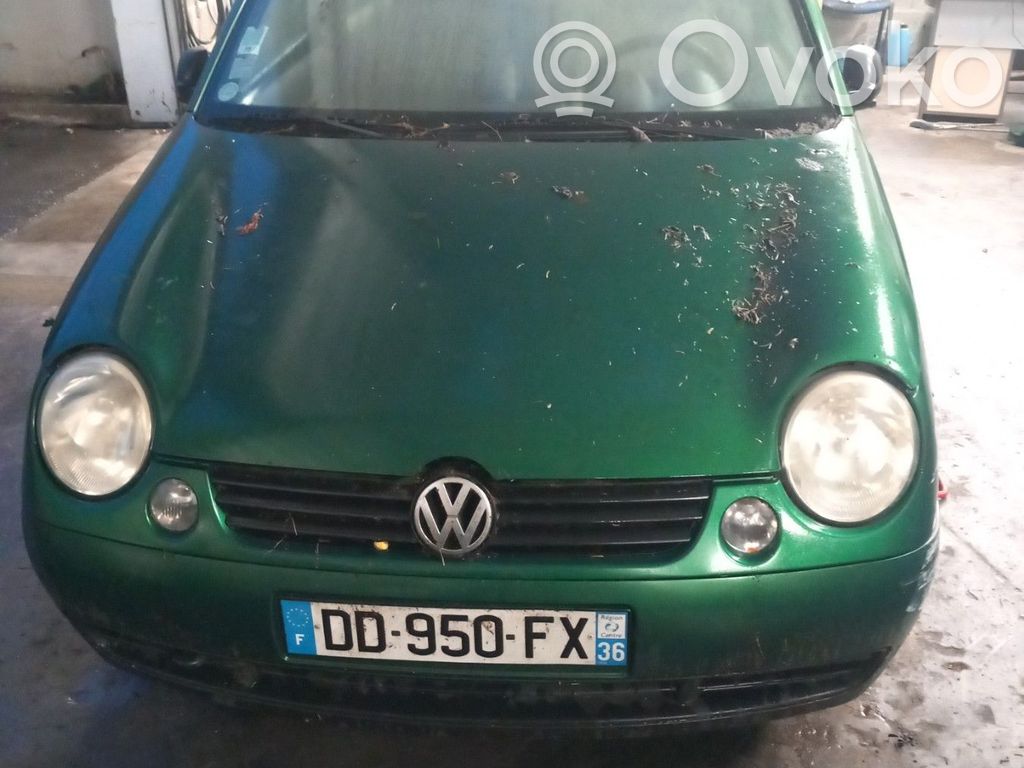 Lupo Lupo  6X0807421EGRU