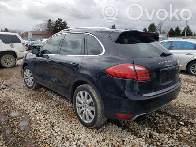 Cayenne (92A) Cayenne  94811012822