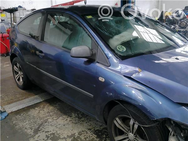 Focus Focus  1109204