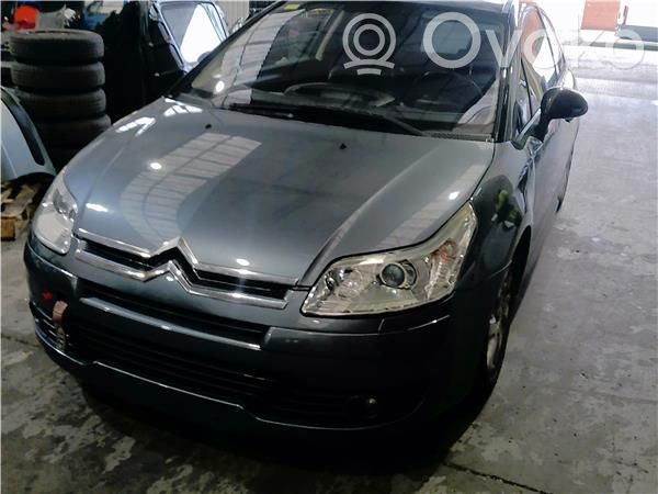 C4 I C4 Picasso, Grand Picasso, Aircross, Cactus