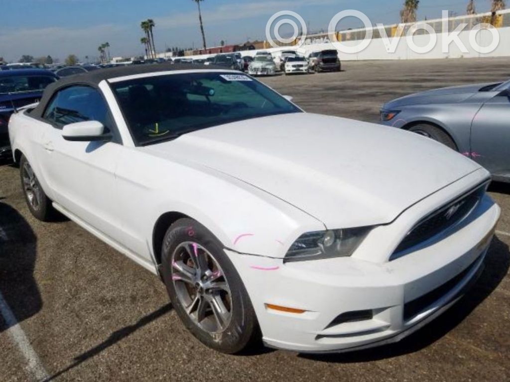 Mustang V Mustang  AE5T13D061AA