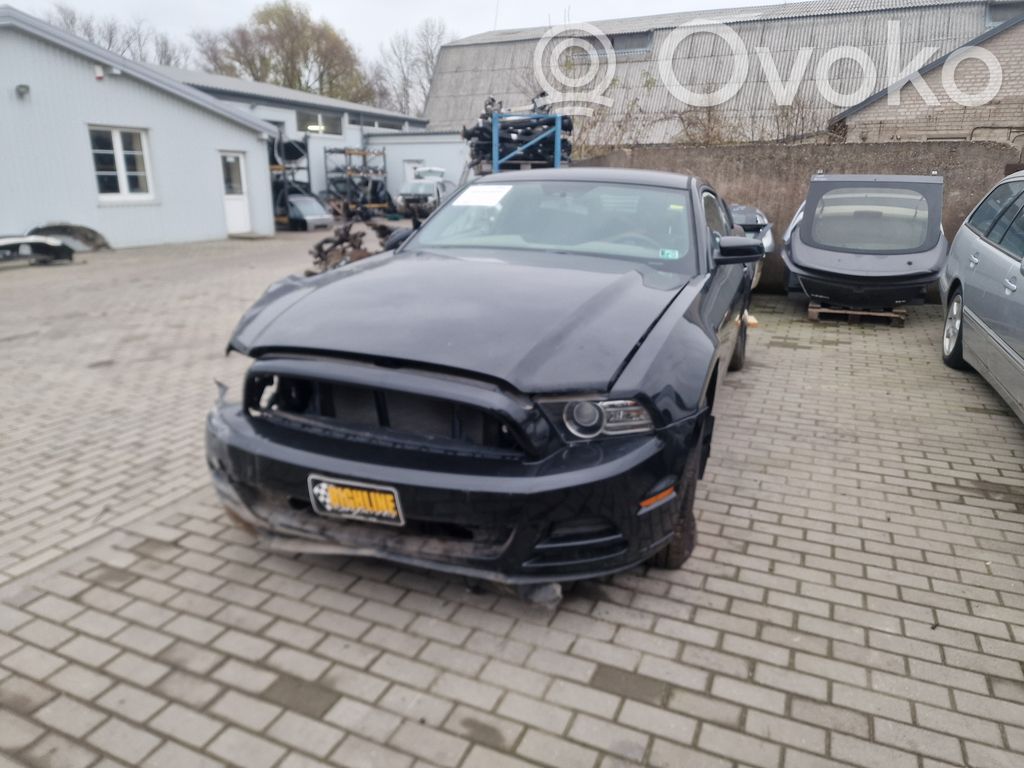 Mustang V Mustang