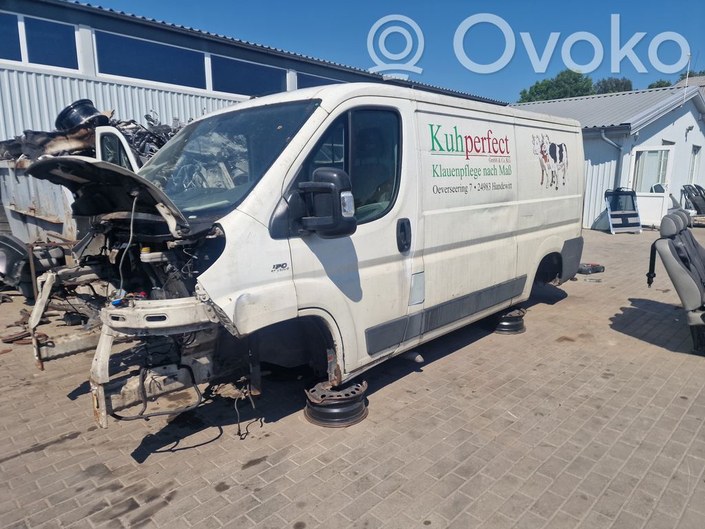Ducato Ducato