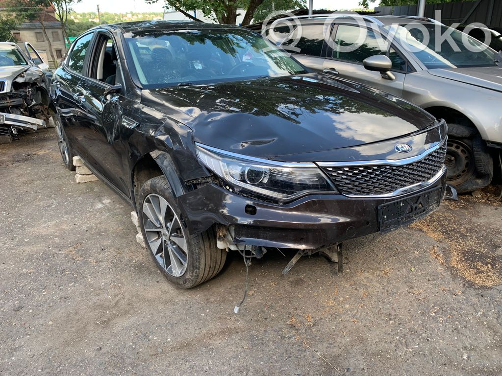 Optima Optima  84656D4002