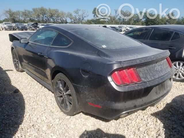 Mustang VI Mustang  FR3C2C219BE