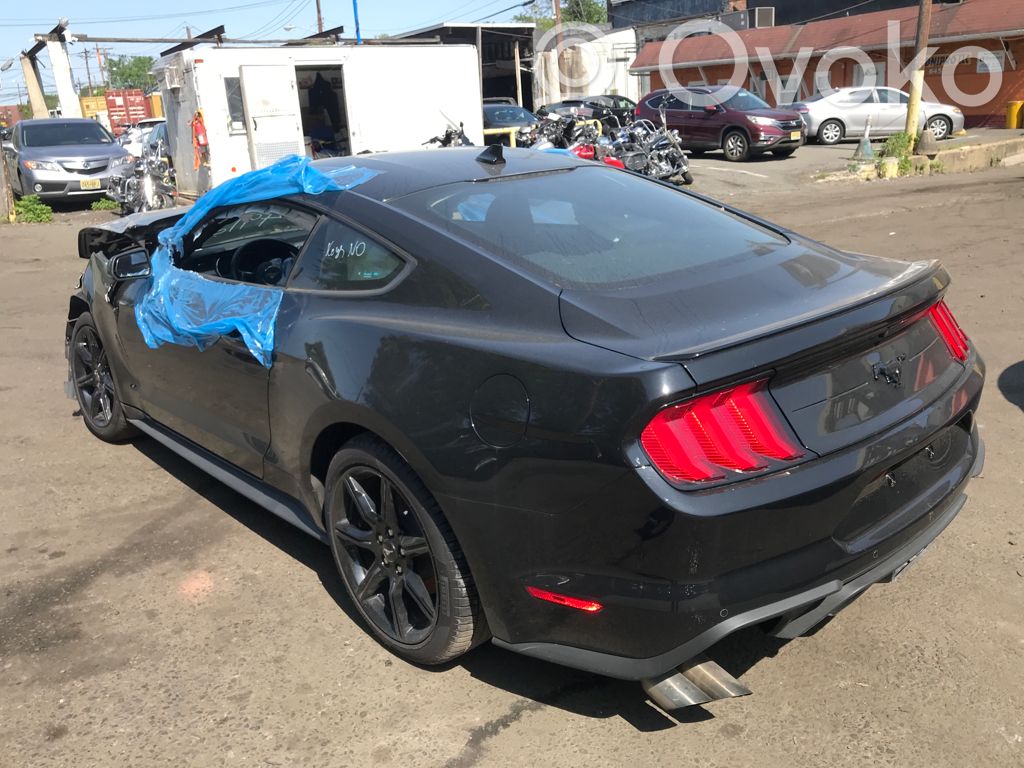 Mustang VI Mustang  LR3T14G229AP