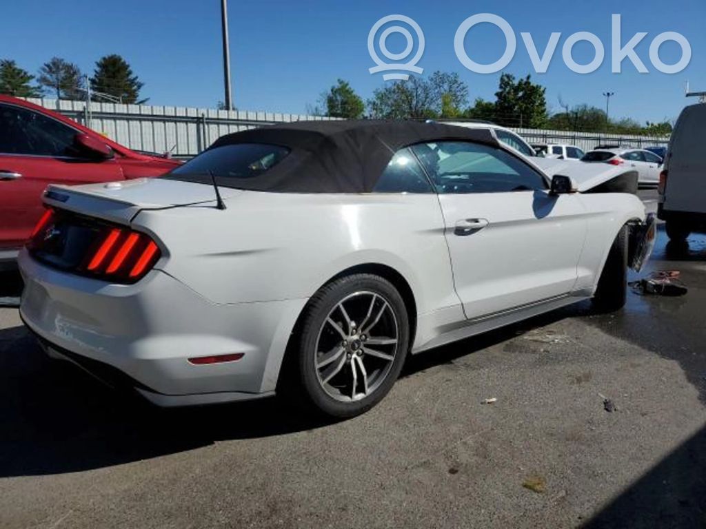 Mustang VI Mustang  FR3C2C219BE