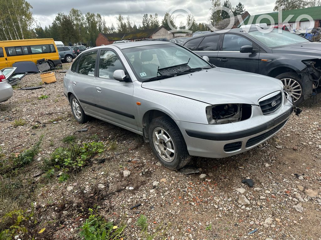 Elantra Elantra  3910127010