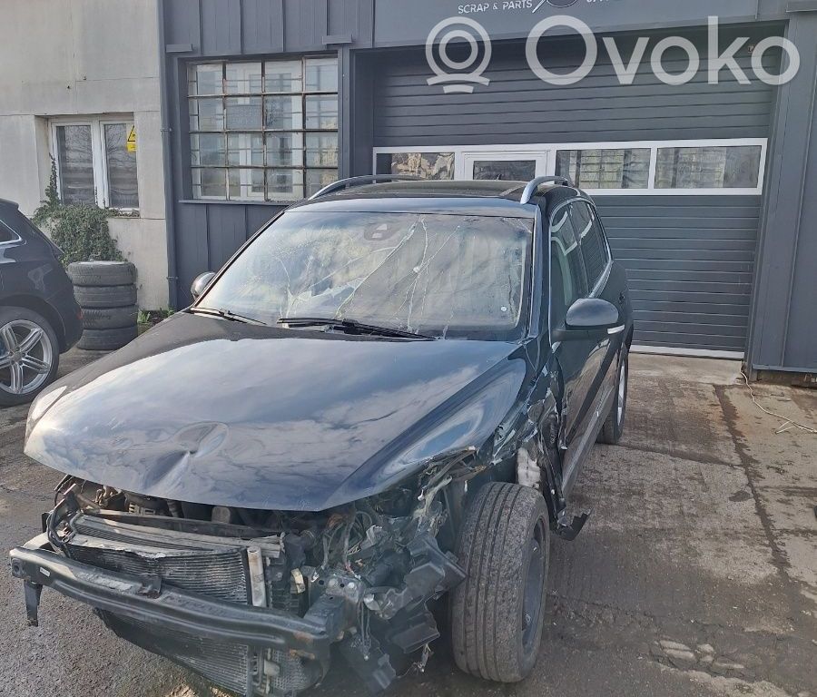 Tiguan Tiguan