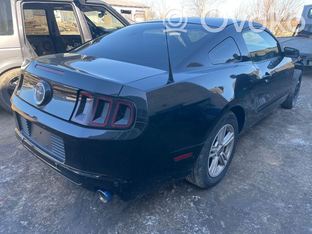 Mustang V Mustang