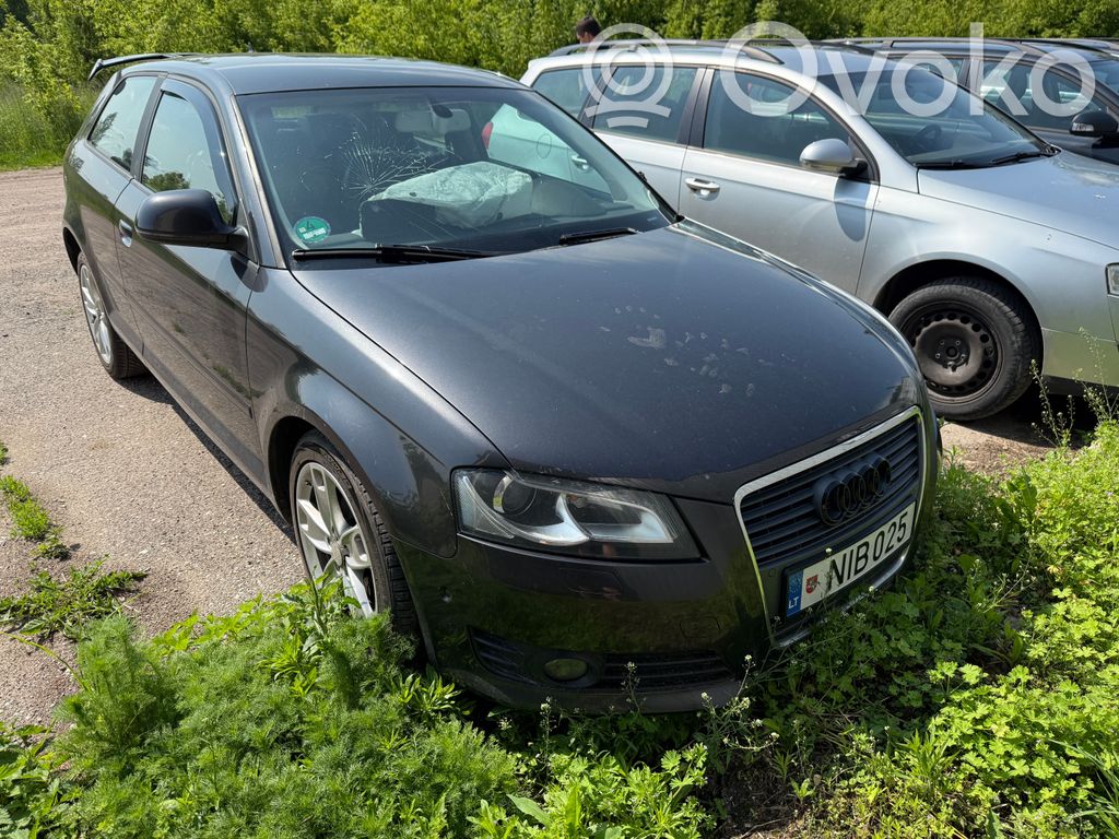 A3 S3 8P A3, S3