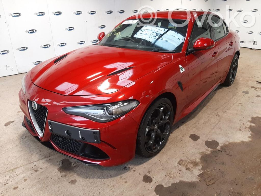 Giulia Giulia  50537696
