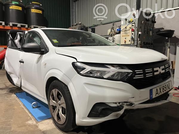 Sandero Sandero, Sandero Stepway