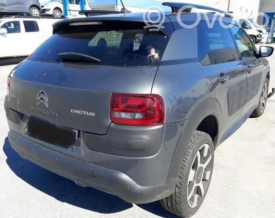 C4 Cactus C4 Picasso, Grand Picasso, Aircross, Cactus