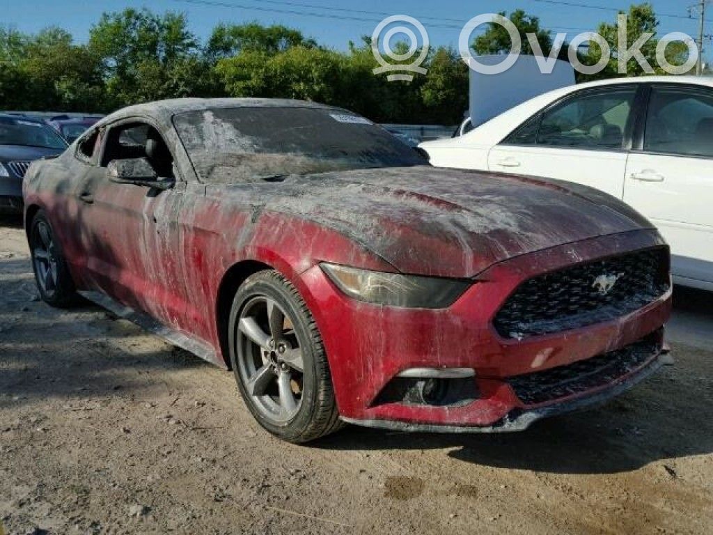 Mustang VI Mustang
