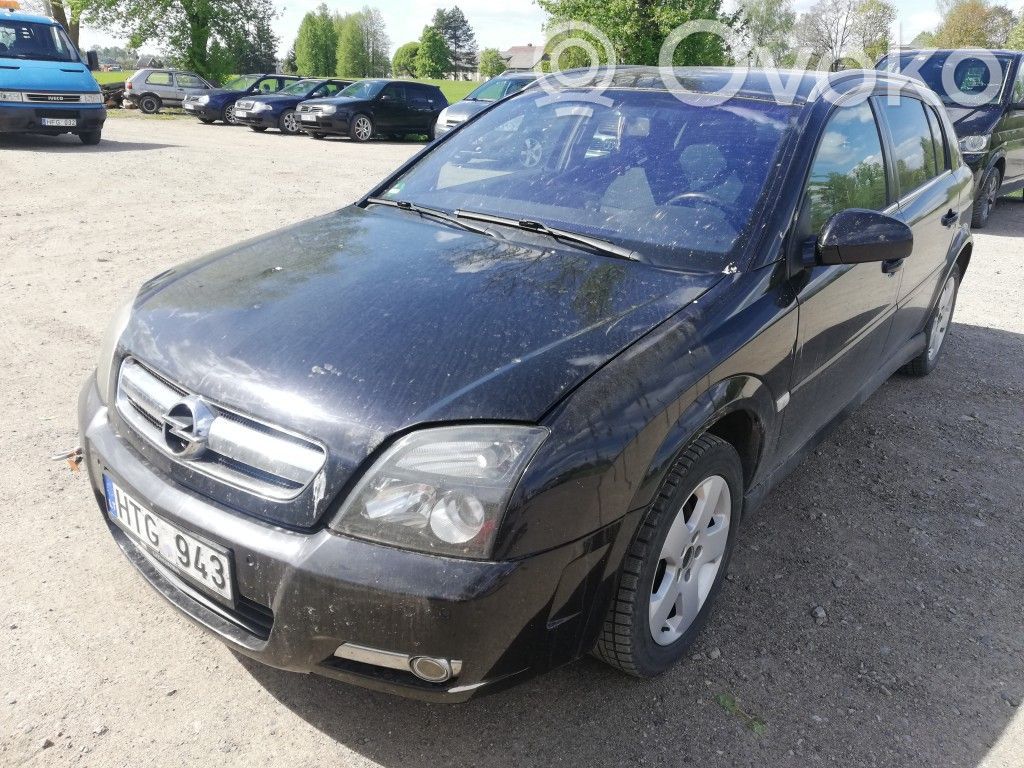 Signum Signum  006667V