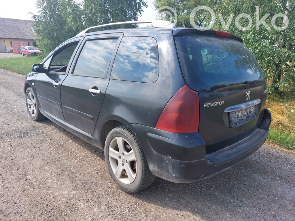 307 307  96366695XT