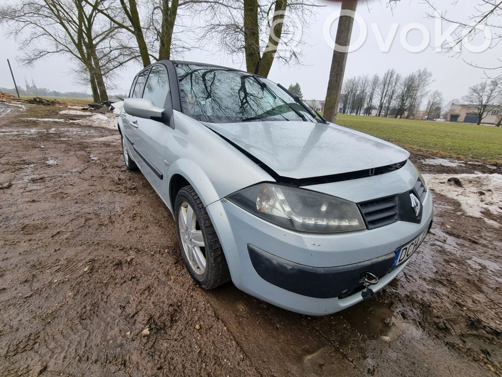 Megane II Megane  4291A