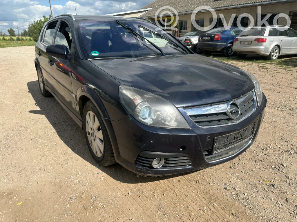 Signum Signum  006667V