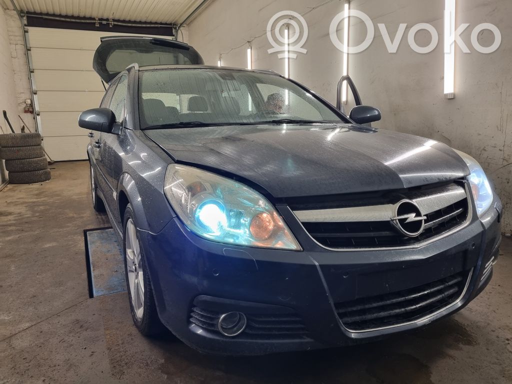 Signum Signum  Z19DTH