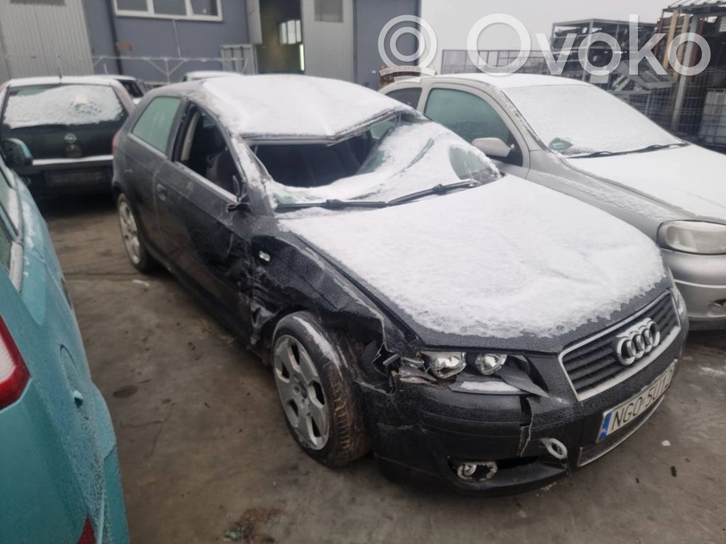 A3 S3 8P A3, S3