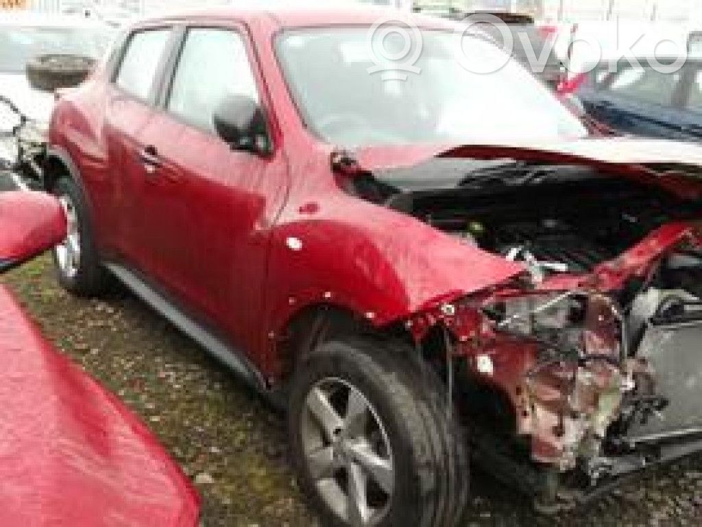 Juke I F15 Juke  233001KA1A