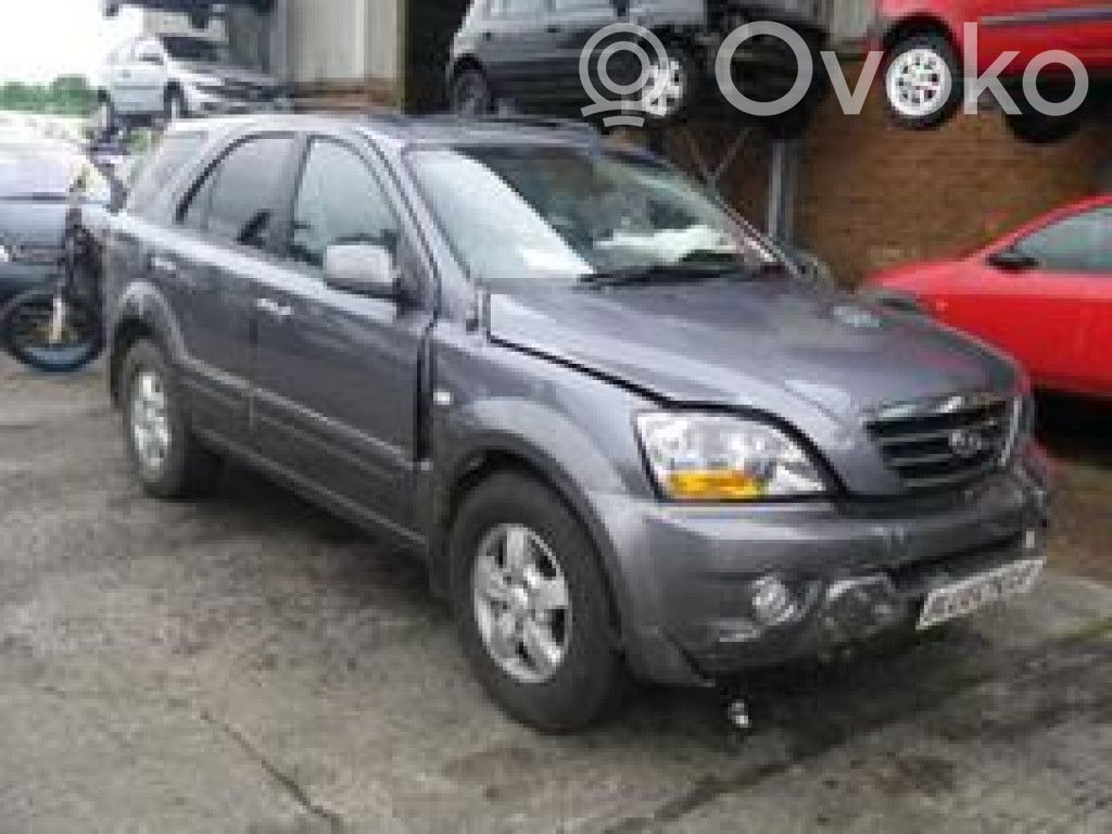Sorento Sorento  FLU