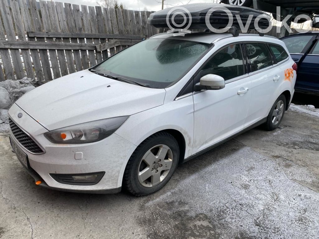 Focus Focus  2059208