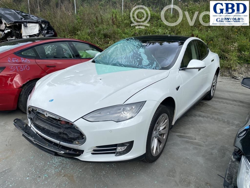 Model S Tesla Model S  600641700F