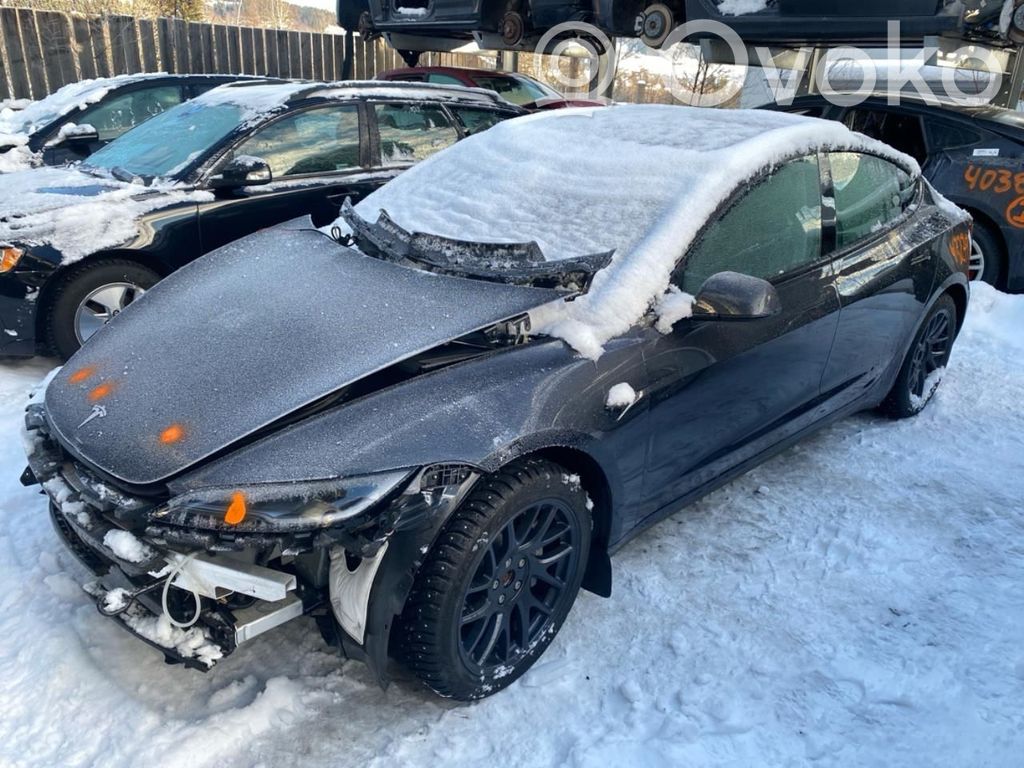 Model 3 Tesla Model 3  134483100B