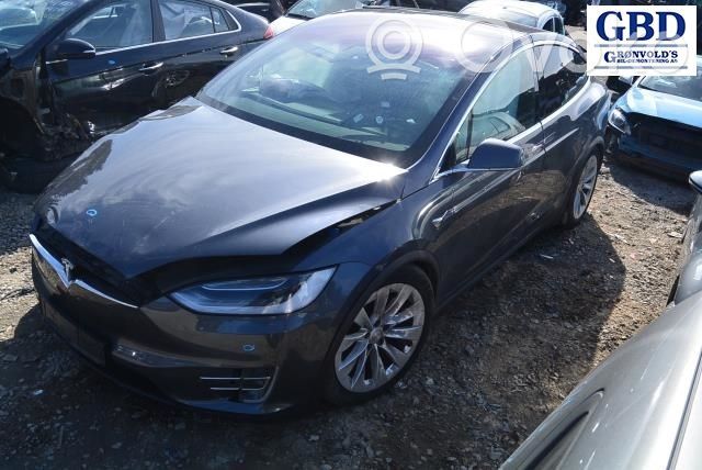 Model X Tesla Model X  102744100A