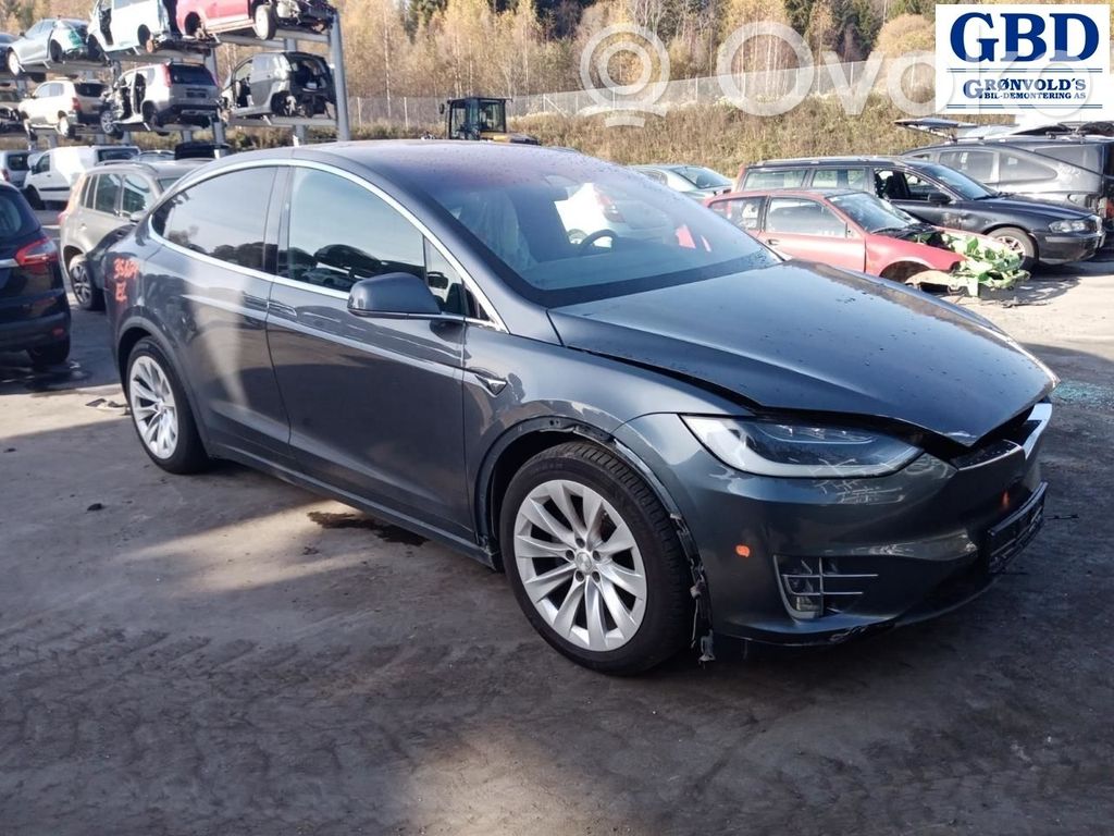 Model X Tesla Model X  102732200D