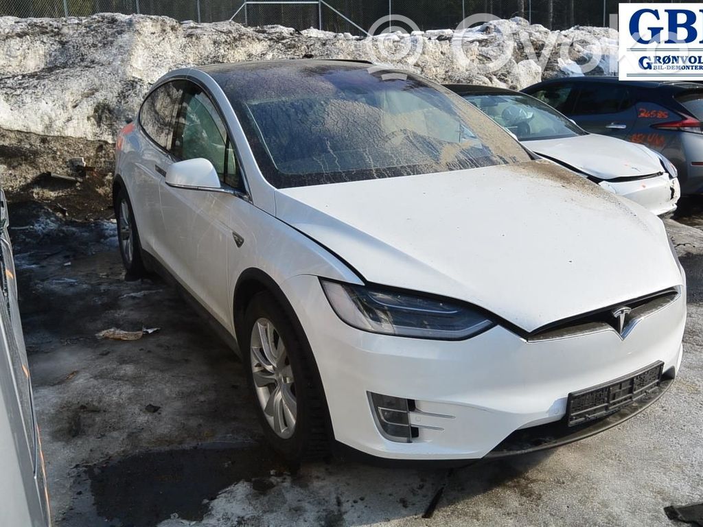 Model X Tesla Model X  105018310C