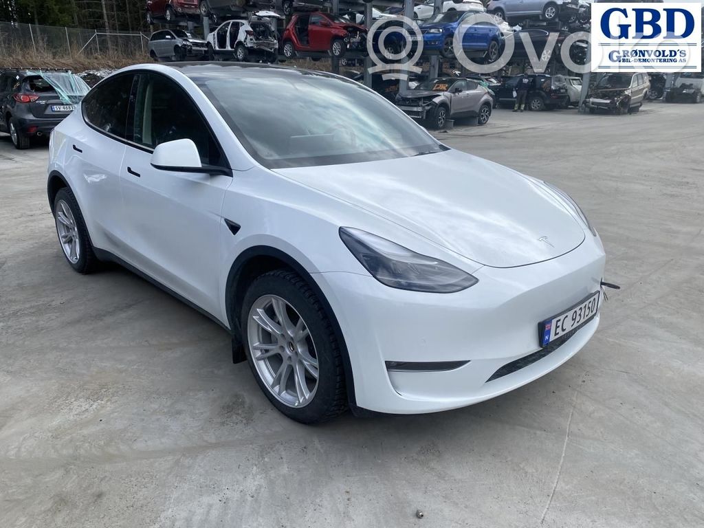 Model Y Tesla Model Y  174148511A