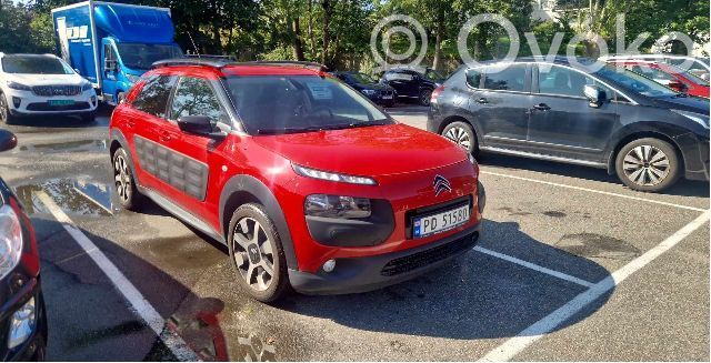 C4 Cactus C4 Picasso, Grand Picasso, Aircross, Cactus  1628564780