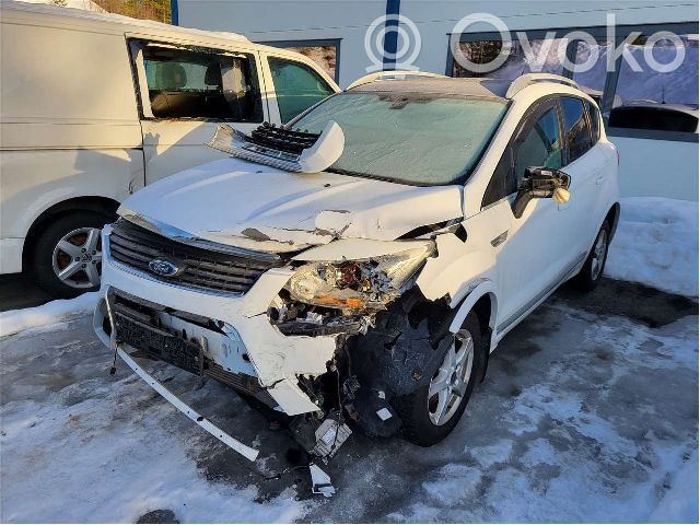 Kuga I Kuga  1712679