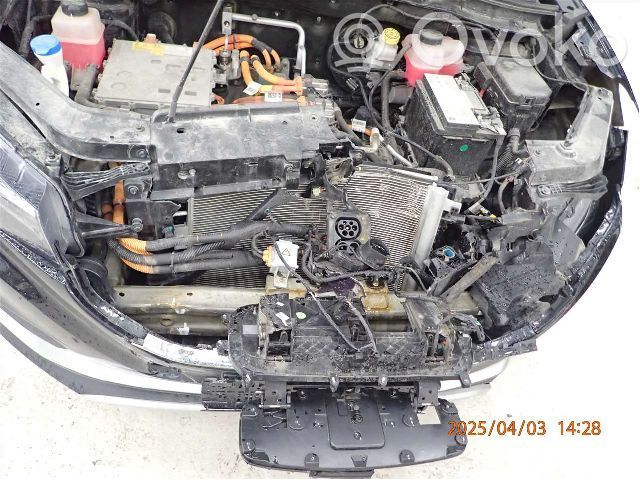 ZS ZS  10730193
