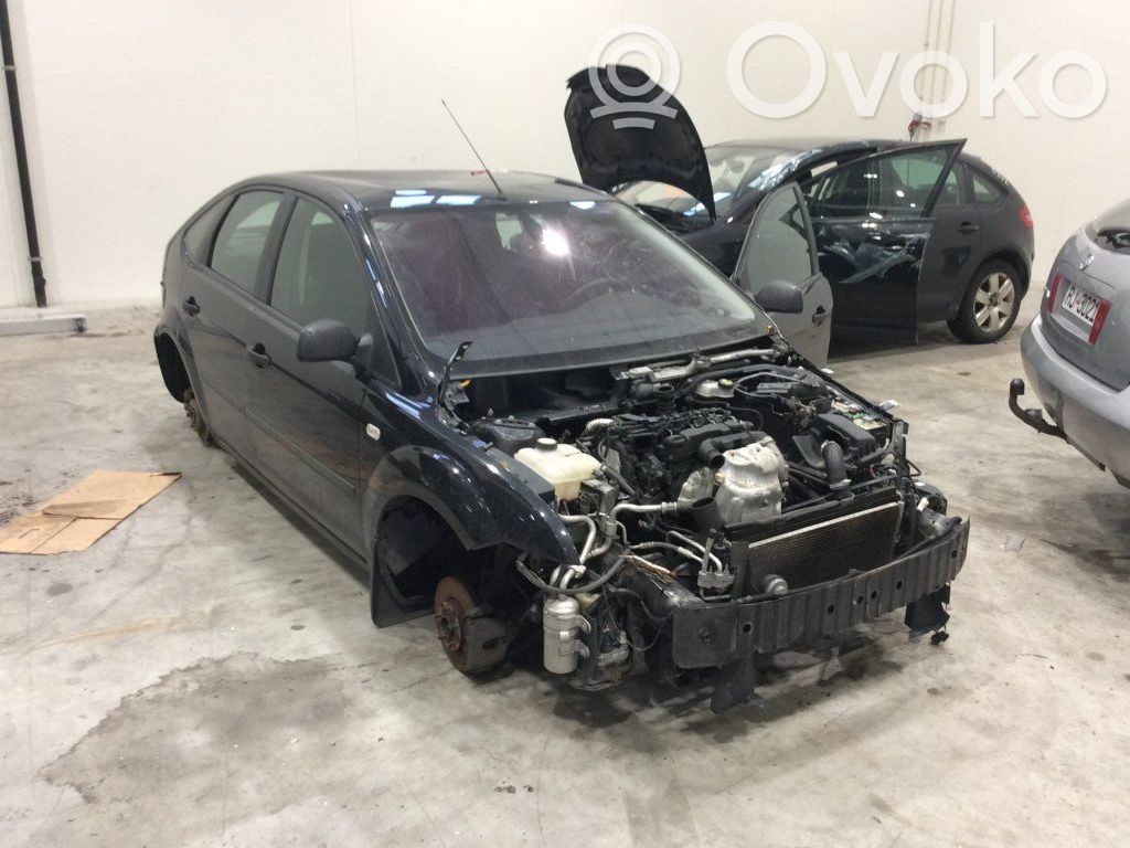 Focus Focus  1420450