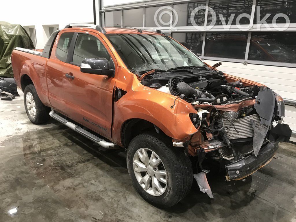 Ranger Ranger  1781960